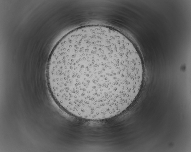 X0000115720847200912241603