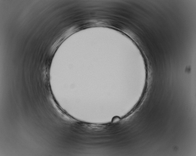 X0000115720849200912241603