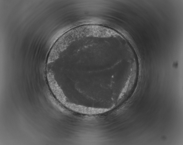 X0000115720850200912241603