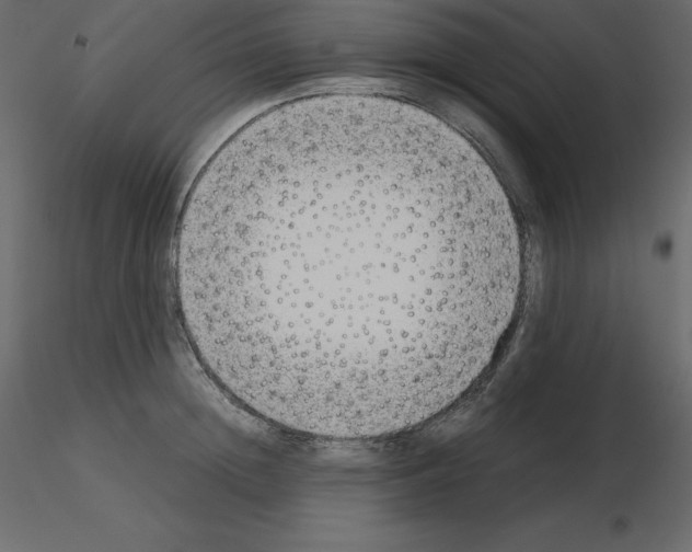 X0000115720852200912241603