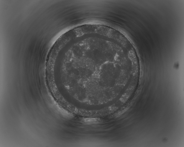 X0000115720853200912241603