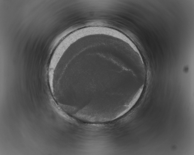 X0000115720854200912241603