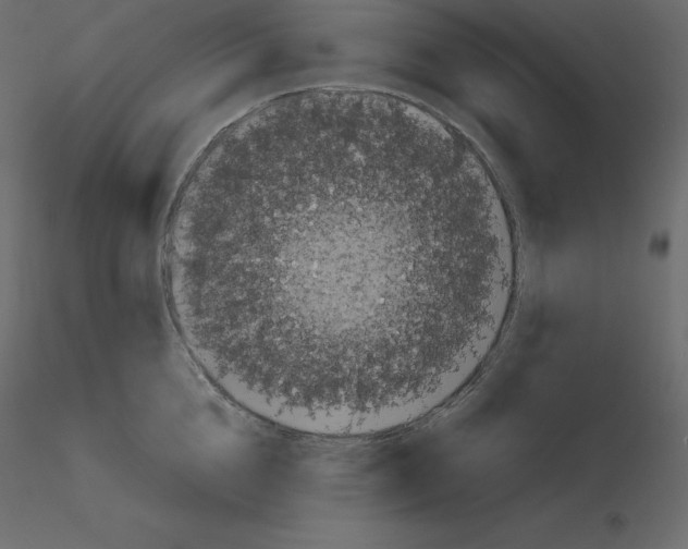 X0000115720856200912241603