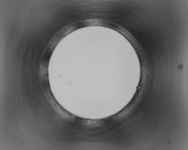 X0000115720857200912241603