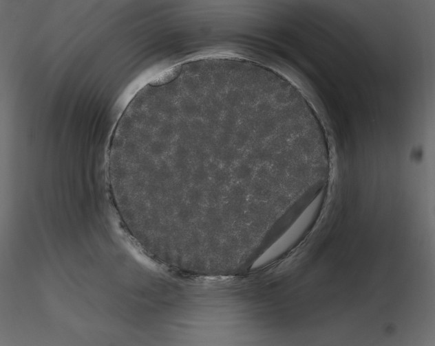 X0000115720858200912241603