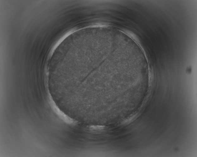 X0000115720859200912241603