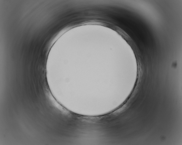 X0000115720860200912241603