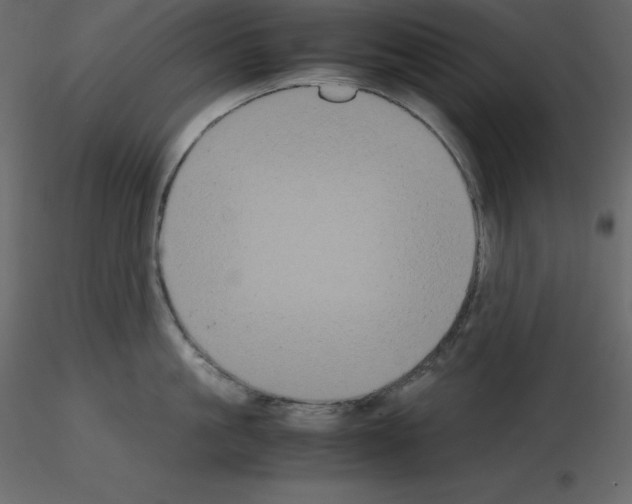 X0000115720861200912241603
