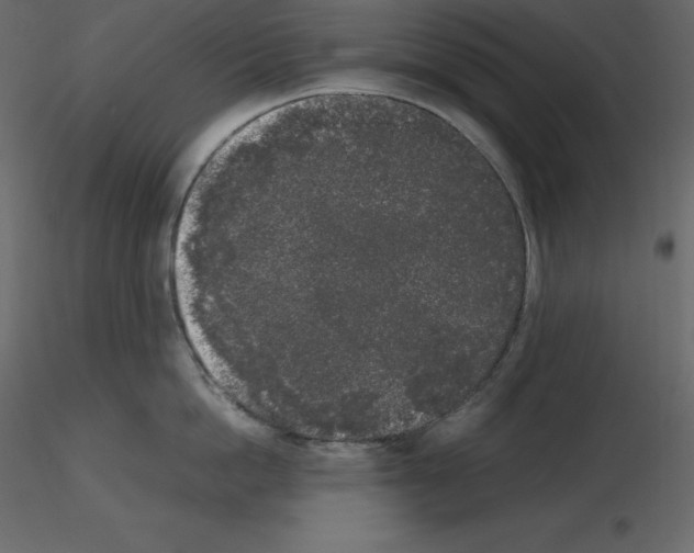 X0000115720862200912241603