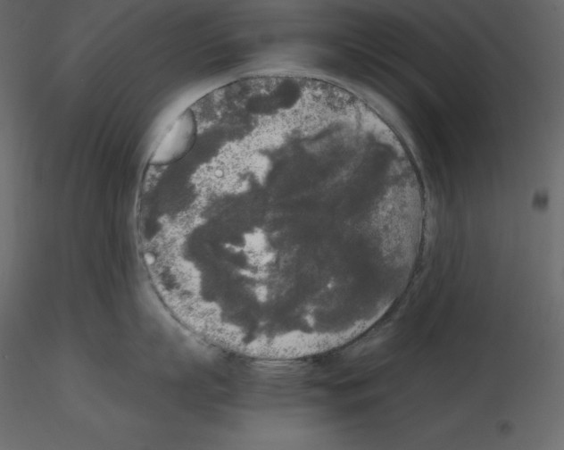 X0000115720863200912241603