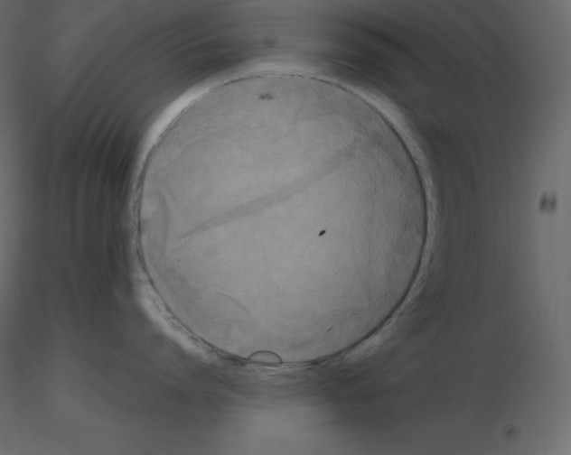 X0000115720864200912241603
