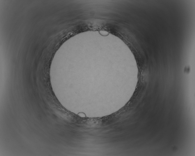 X0000115720865200912241603