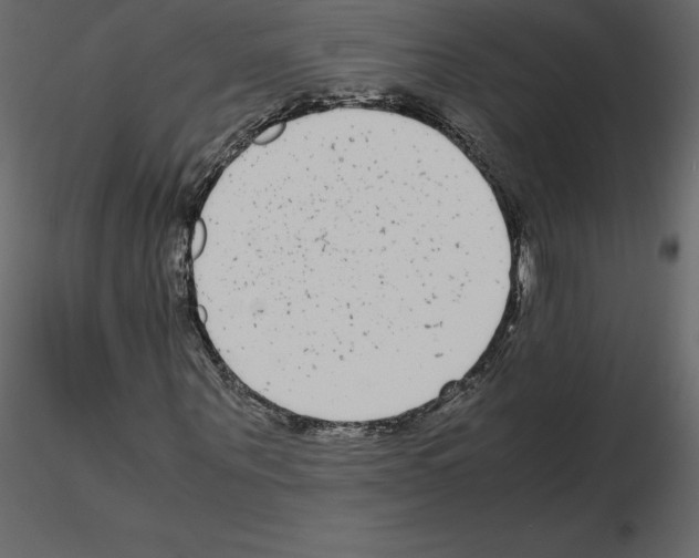X0000115720867200912241603