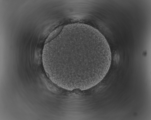 X0000115720868200912241603