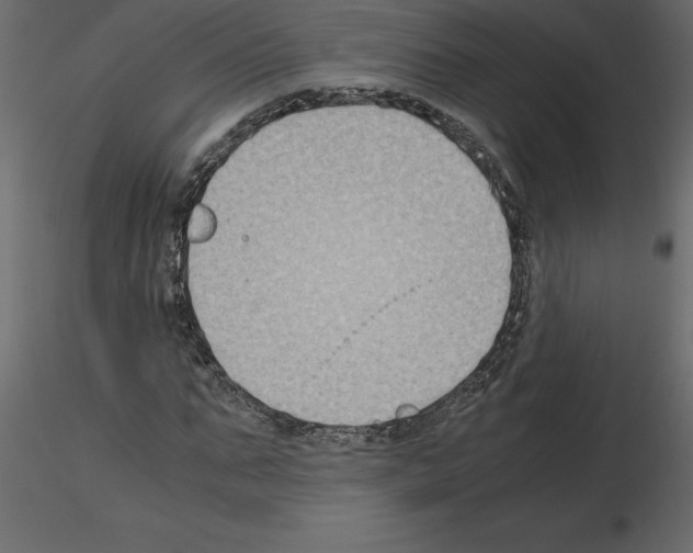 X0000115720871200912241603