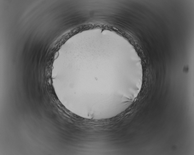 X0000115720872200912241603