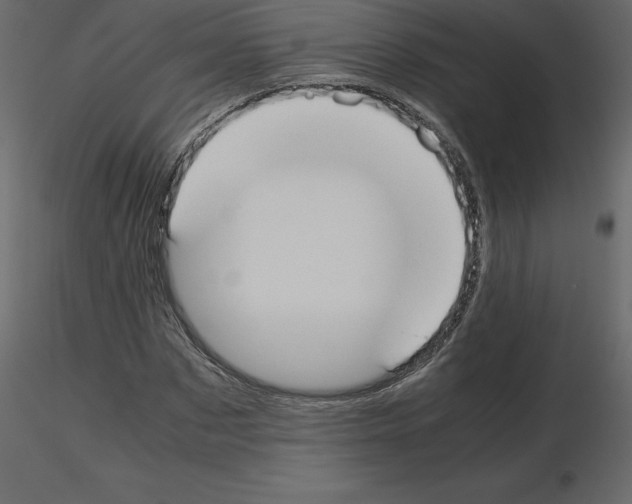 X0000115720873200912241603