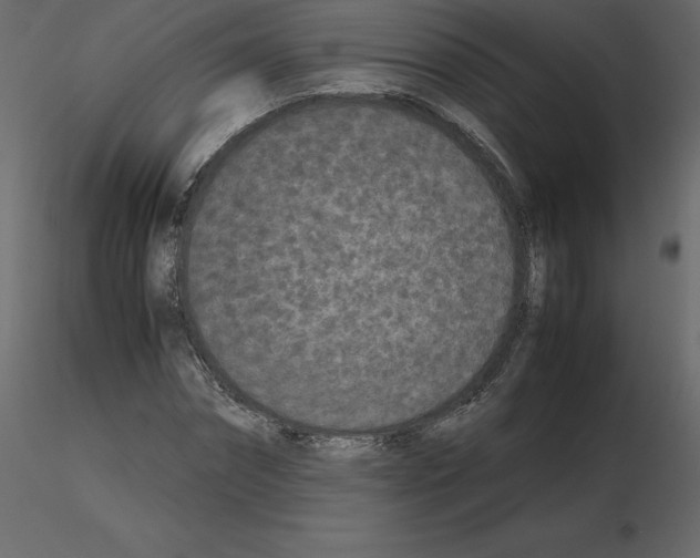 X0000115720874200912241603