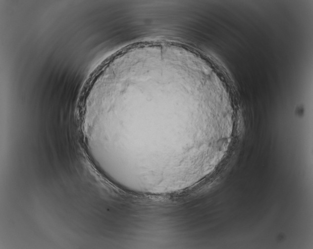 X0000115720876200912241603