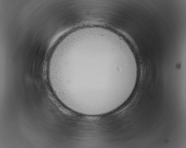 X0000115720878200912241602