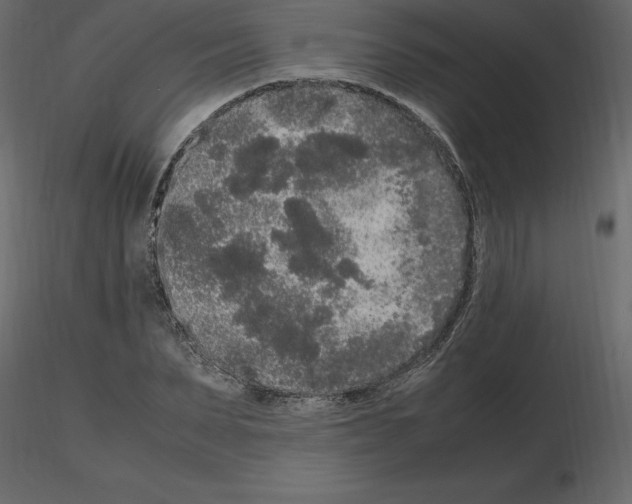 X0000115720879200912241602