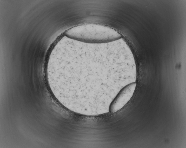 X0000115720880200912241602