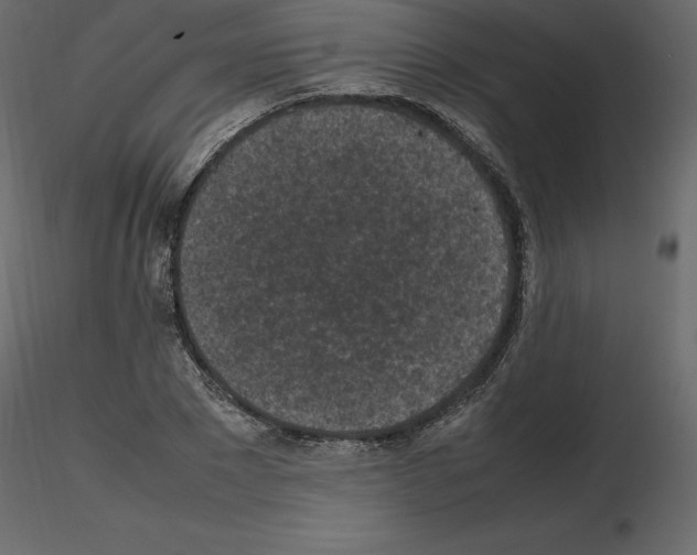 X0000115720881200912241602