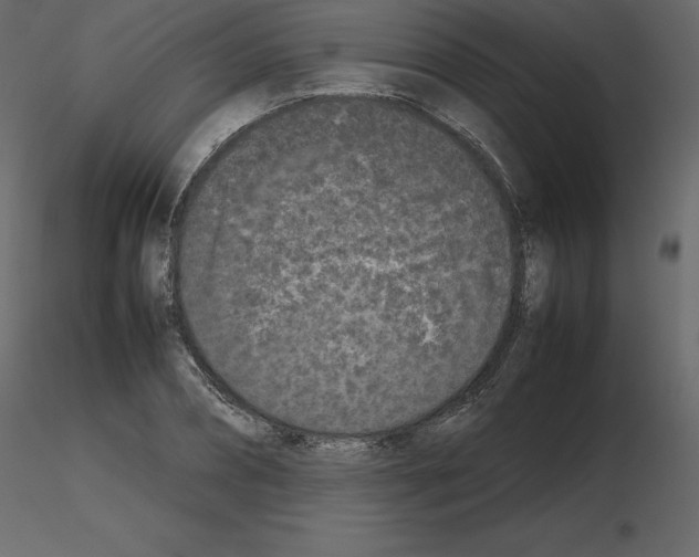 X0000115720882200912241602