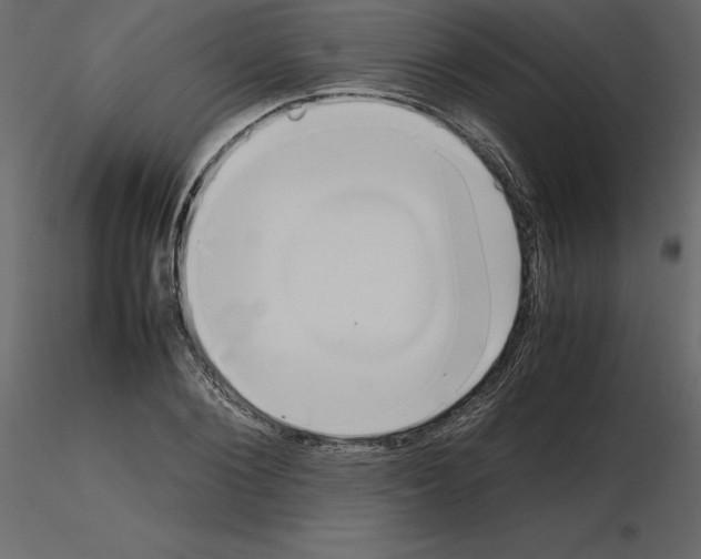 X0000115720884200912241602