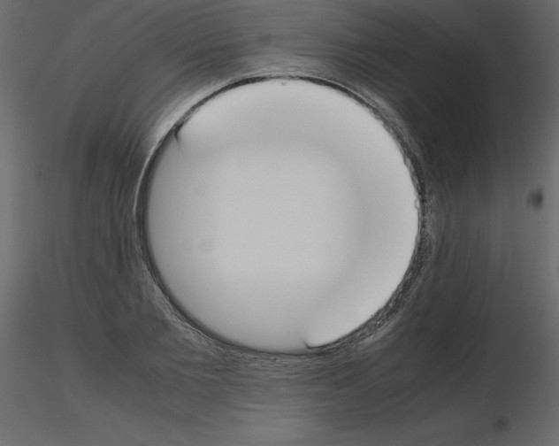 X0000115720885200912241602