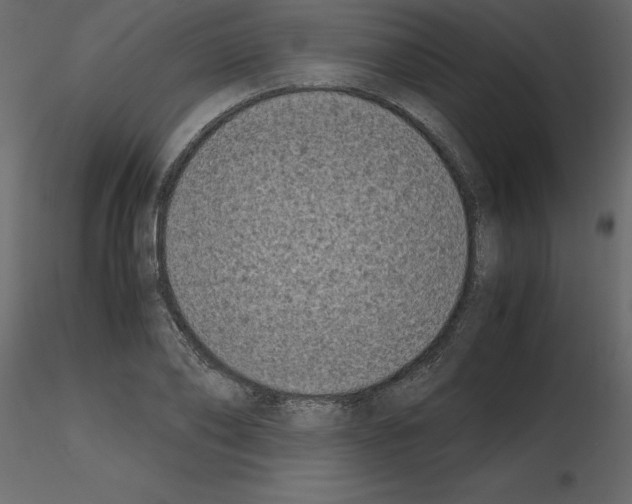 X0000115720886200912241602
