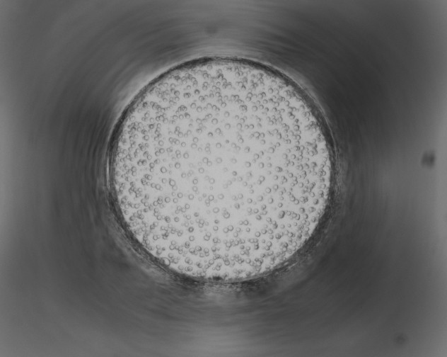 X0000115720887200912241602