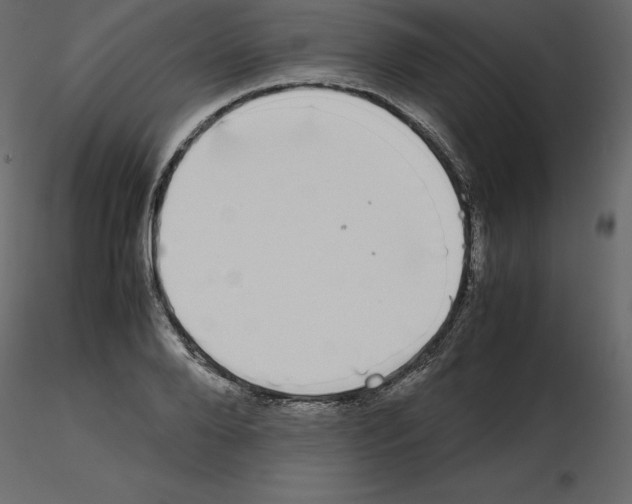 X0000115720888200912241602
