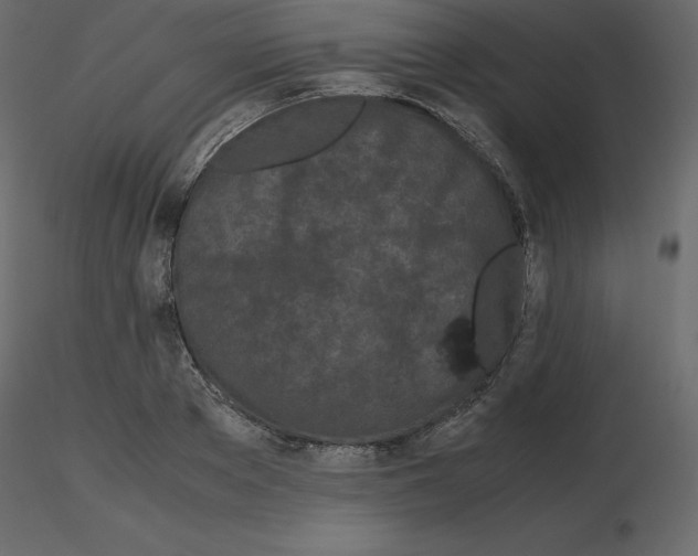 X0000115720889200912241602