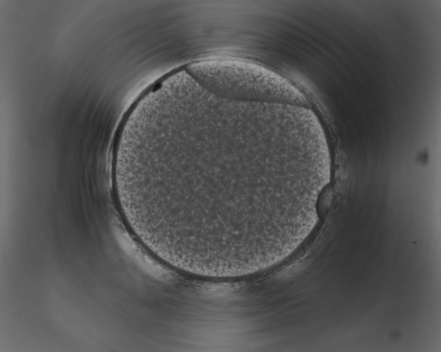 X0000115720892200912241602