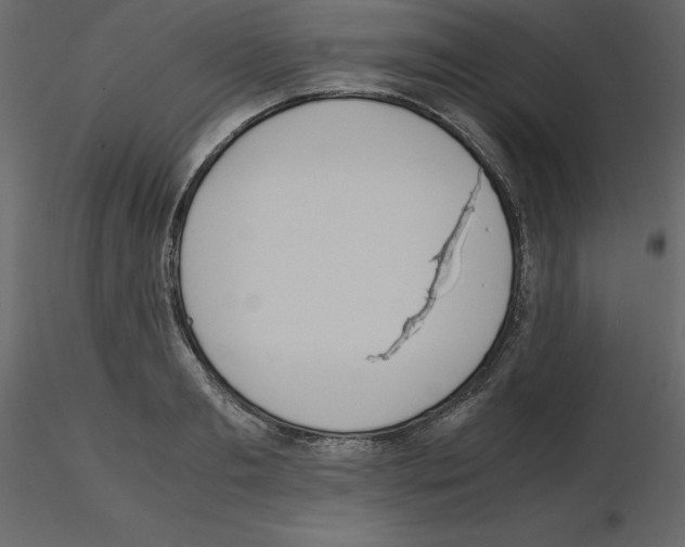 X0000115720893200912241602