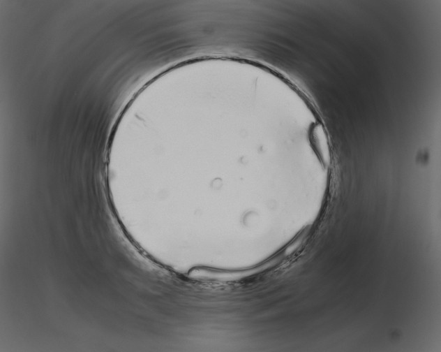 X0000115720895200912241602