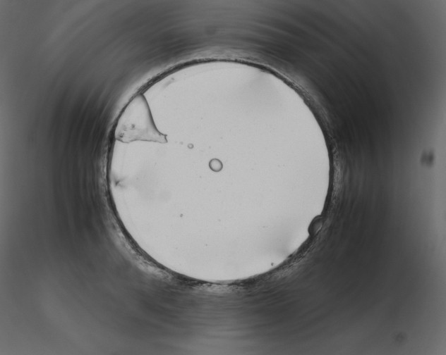 X0000115720896200912241602