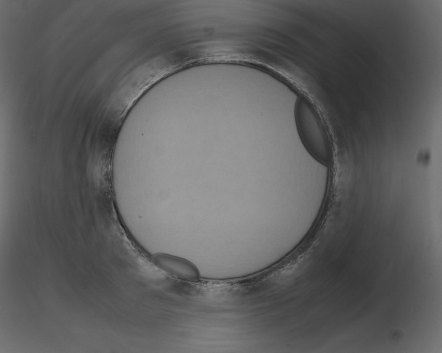 X0000115720897200912241602