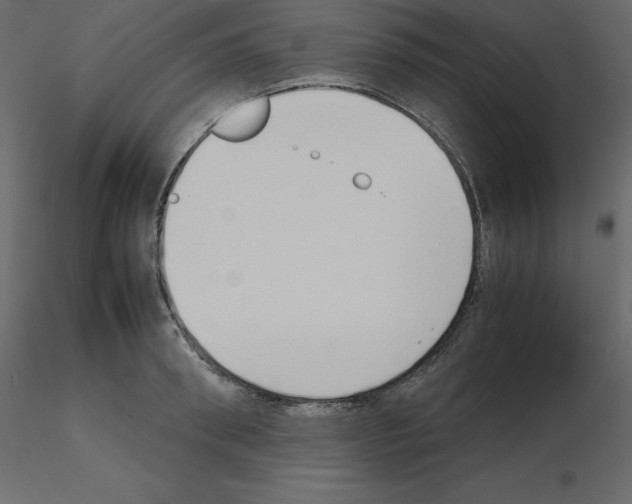 X0000115720898200912241602