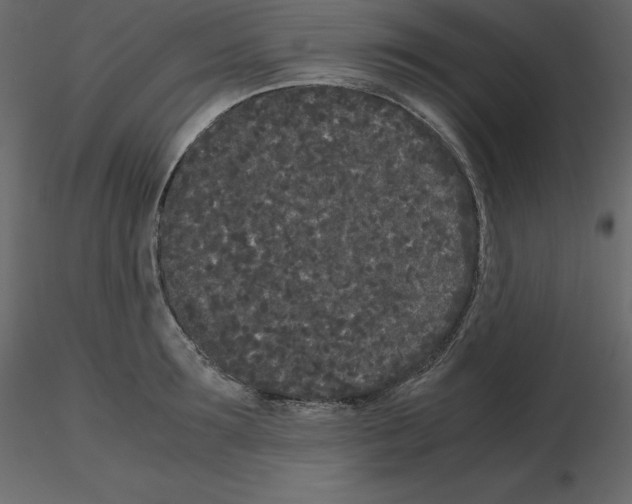 X0000115720899200912241602