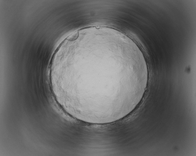 X0000115720900200912241602