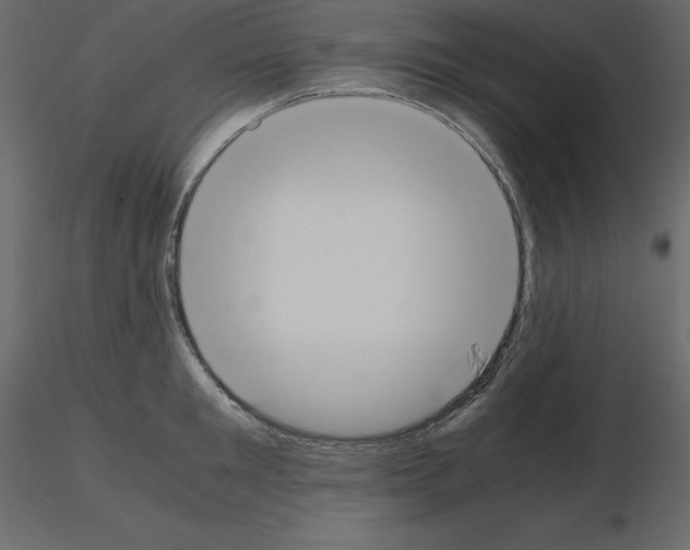 X0000115720901200912241602
