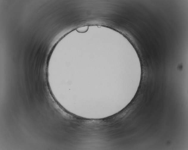 X0000115720902200912241602