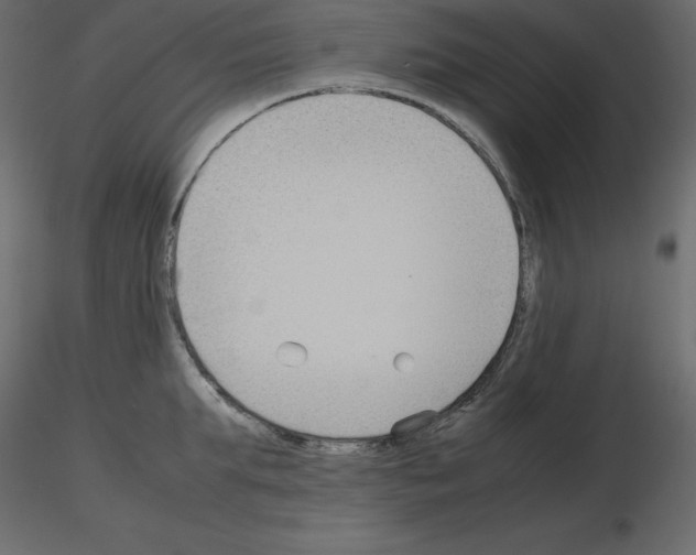 X0000115720903200912241602