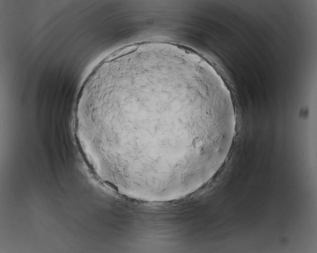 X0000115720904200912241602