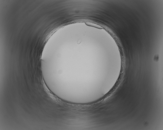 X0000115720905200912241602