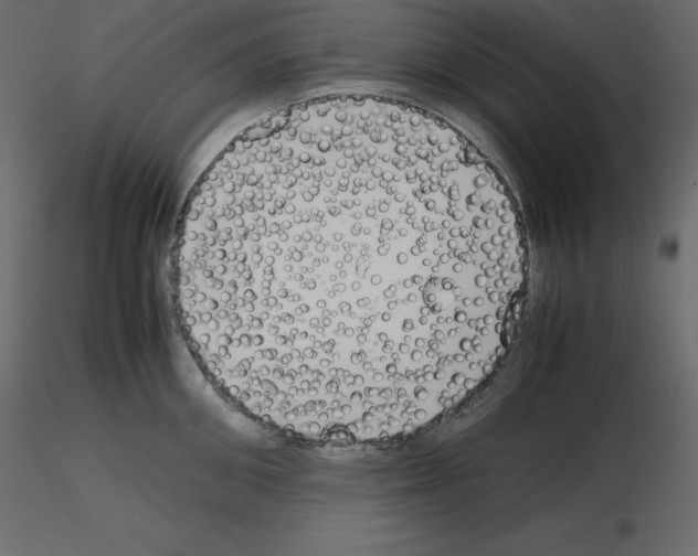X0000115720906200912241602