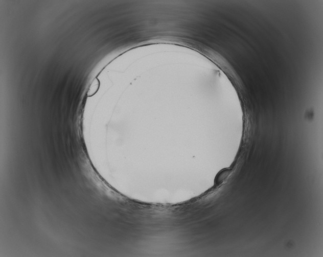 X0000115720908200912241602