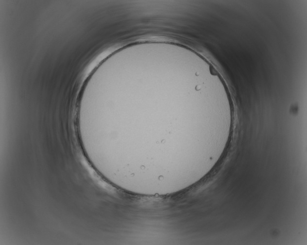 X0000115720909200912241602